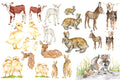 Roycycled Decoupage Paper - Baby Animals by Lexi Grenzer (Retired)