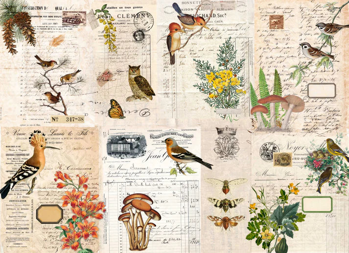 Roycycled Decoupage Paper - Fall Botanical Project Blocks