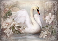 Reba Rose Creations - Snow White Swan