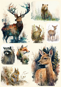 Reba Rose Creations - Watercolor Woodland Animals