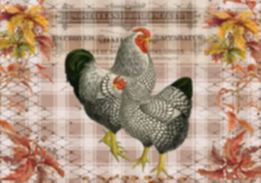 Reba Rose Creations - Checkered Chickens