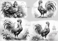 Reba Rose Creations - Rooster Sketches