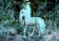 Reba Rose Creations - Misty Unicorn