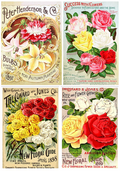 Reba Rose Creations - Seed Packets