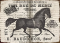 Reba Rose Creations - AVC - French Horse