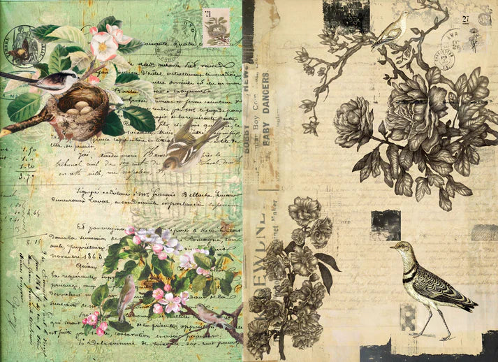 Roycycled Decoupage Paper - Botanical Blocks