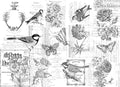 Roycycled Decoupage Paper - Paintable Botanical
