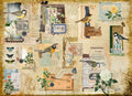Roycycled Decoupage Paper - Scrappy Masterboard