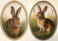 JRV Rice Paper A4 - Antique Rabbit