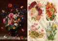 JRV Rice Paper A4 - Hand Painted Floral