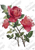 JRV Rice Paper A4 - Roses