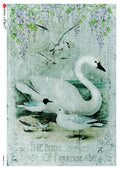 Decoupage Queen Rice Paper A4 - Animals 0126