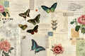 Roycycled Decoupage Paper - Butterfly Masterboard