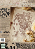 IOD Stamp - Charlotte