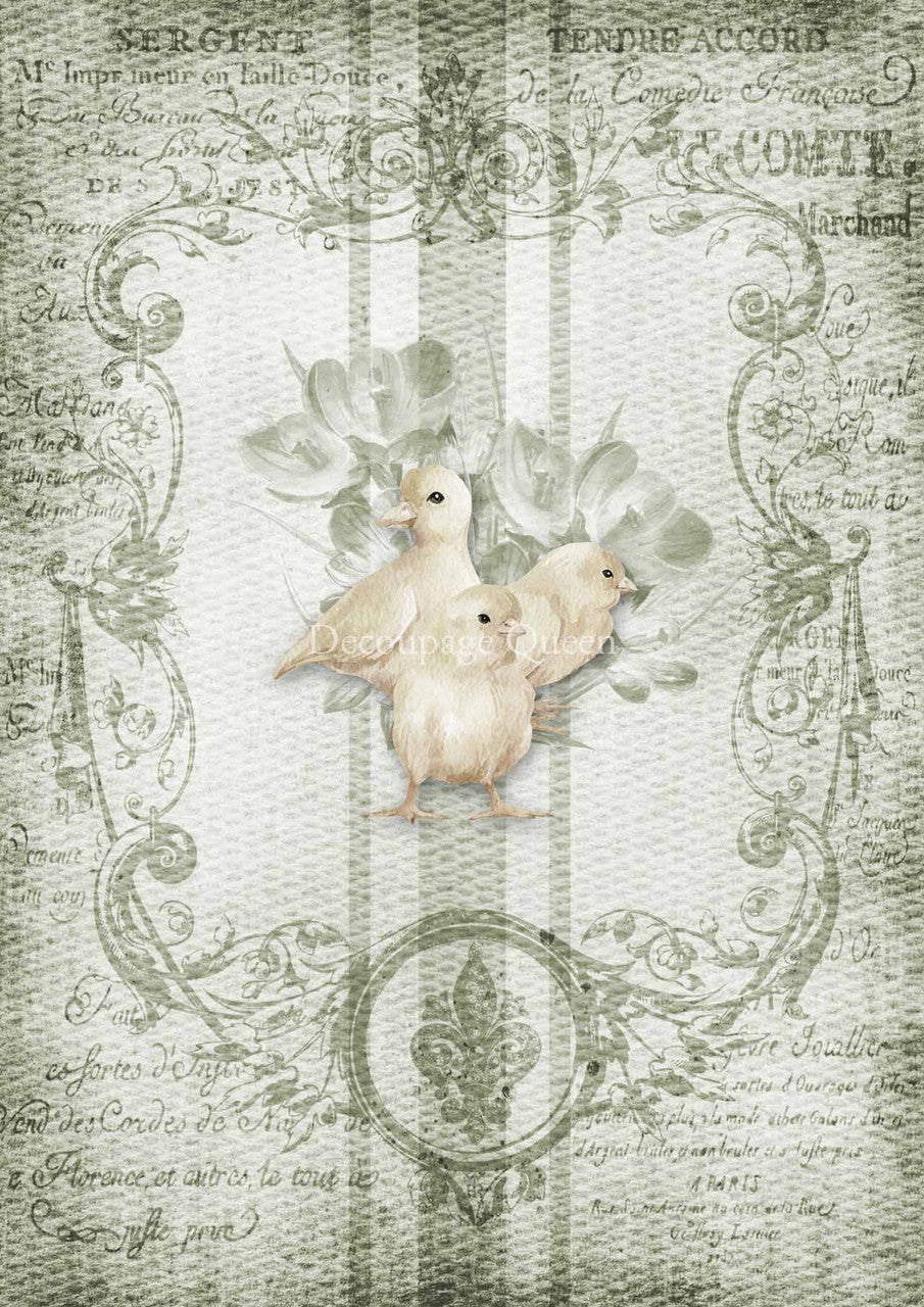 Decoupage Queen Rice Paper A4 - Spring Grain Sack Chicks