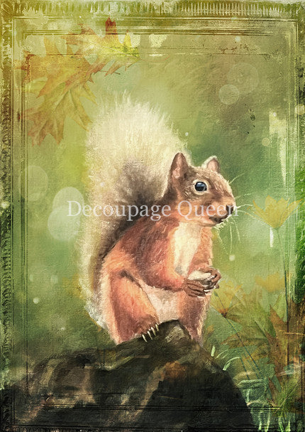 Decoupage Queen Rice Paper A4 - Teresa Rene Art - Woodland Squirrel