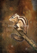 Decoupage Queen Rice Paper A4 - Teresa Rene Art - Resting Chipmunk