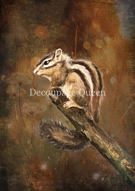 Decoupage Queen Rice Paper A4 - Teresa Rene Art - Resting Chipmunk