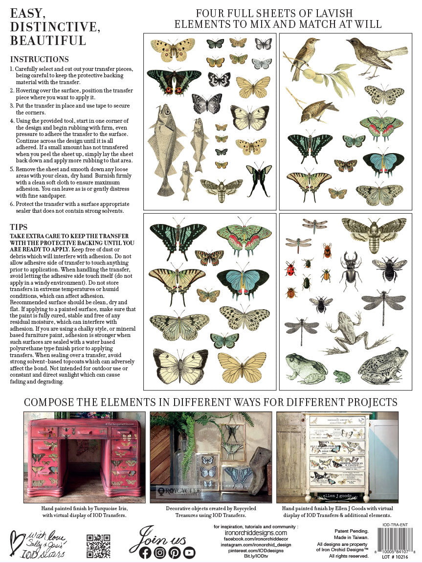 IOD Transfer - Entomology Etcetera