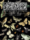 IOD Transfer - Entomology Etcetera