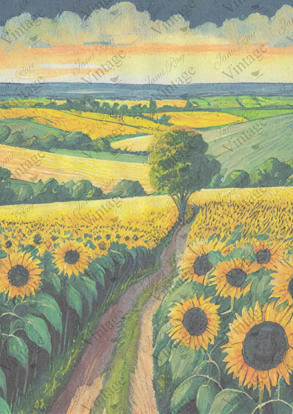 JRV Rice Paper A4 - Sunflower Fields