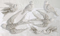 IOD Mould - Birdsong