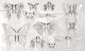 IOD Mould - Monarch