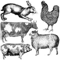 IOD Stamp - Farm Animals
