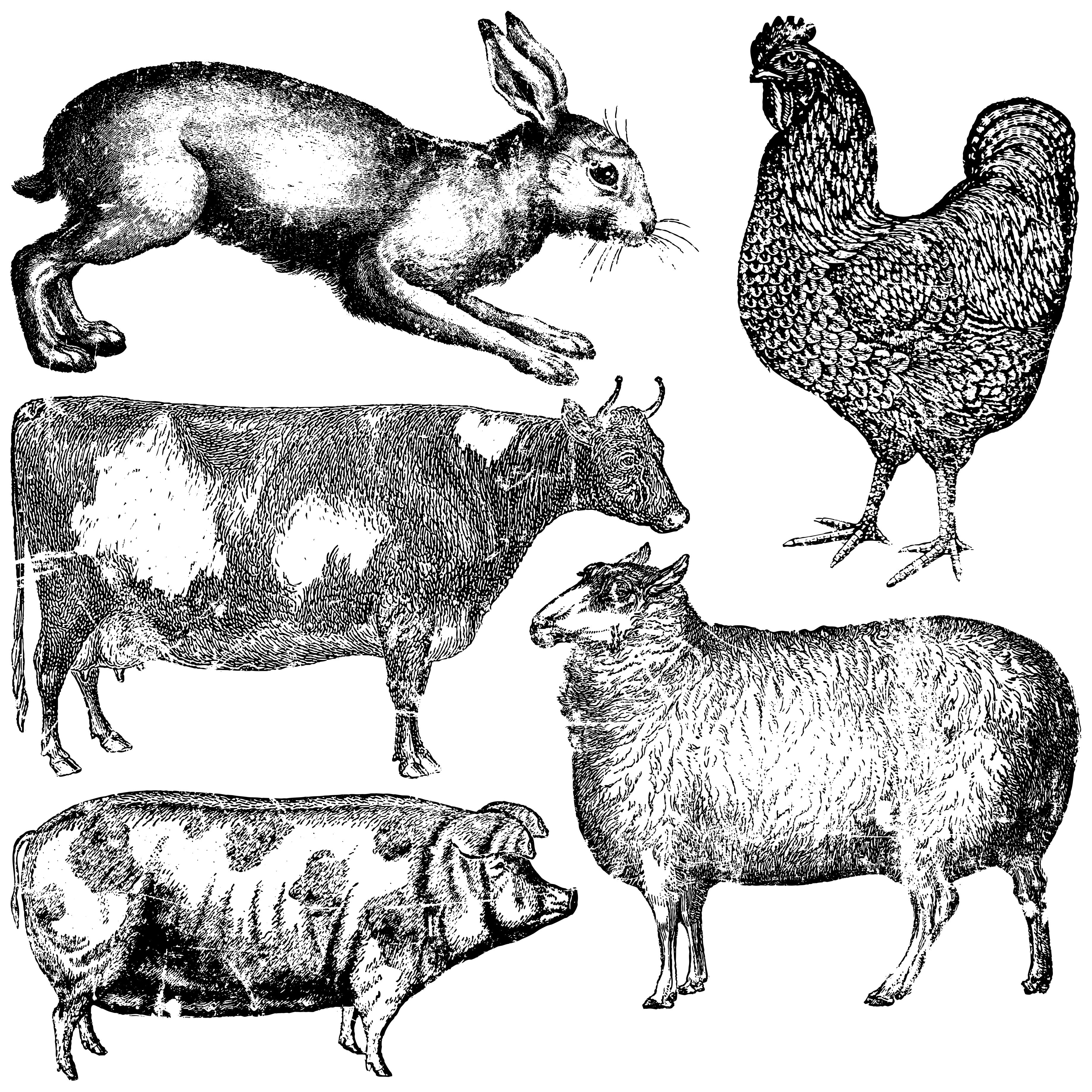 IOD Stamp - Farm Animals