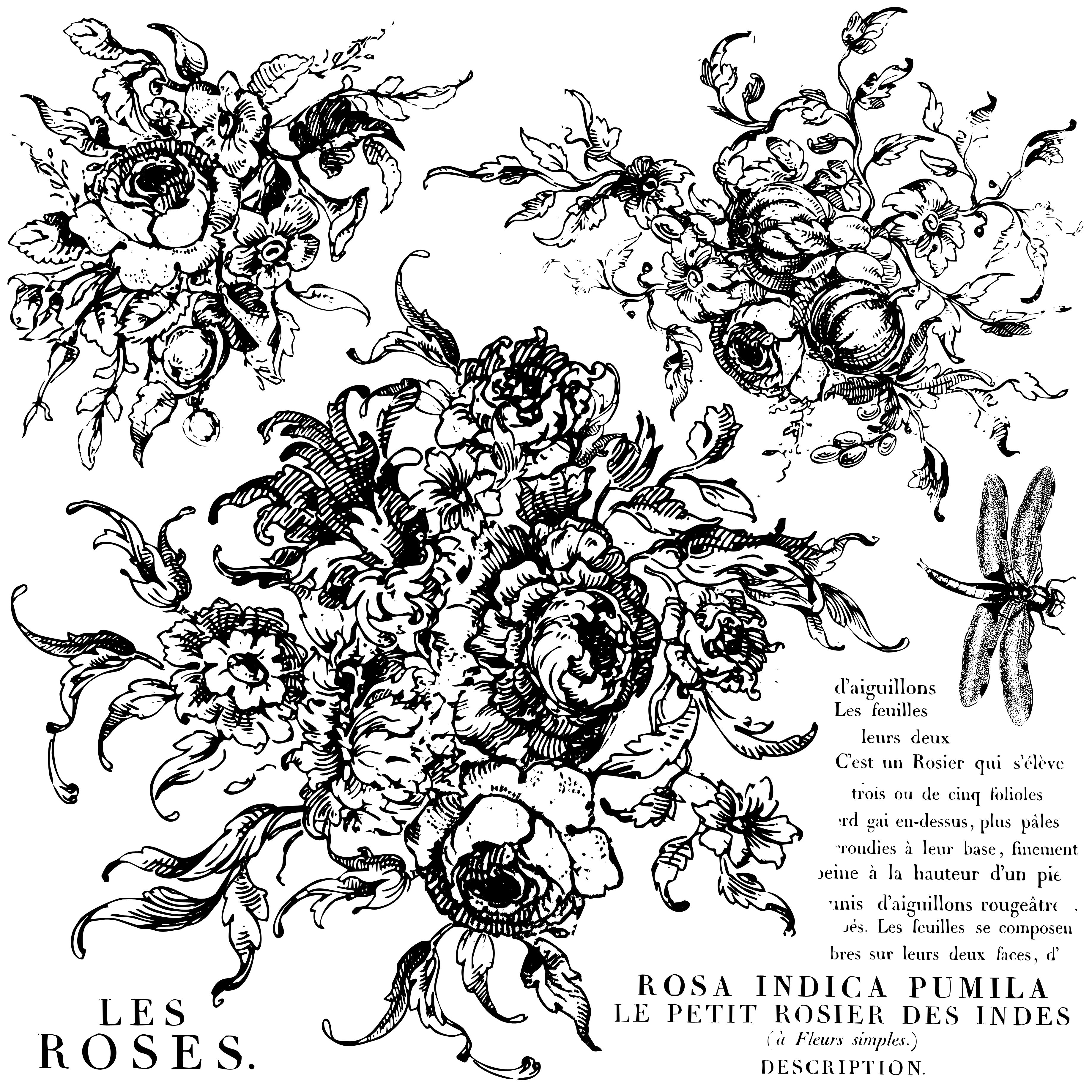 IOD Stamp - Rose Toile