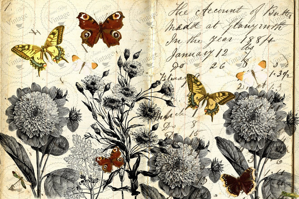 JRV Decoupage Paper - Monarchromatic