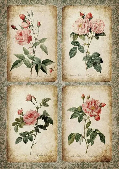 Decoupage Queen Rice Paper A3 - Rose Cards