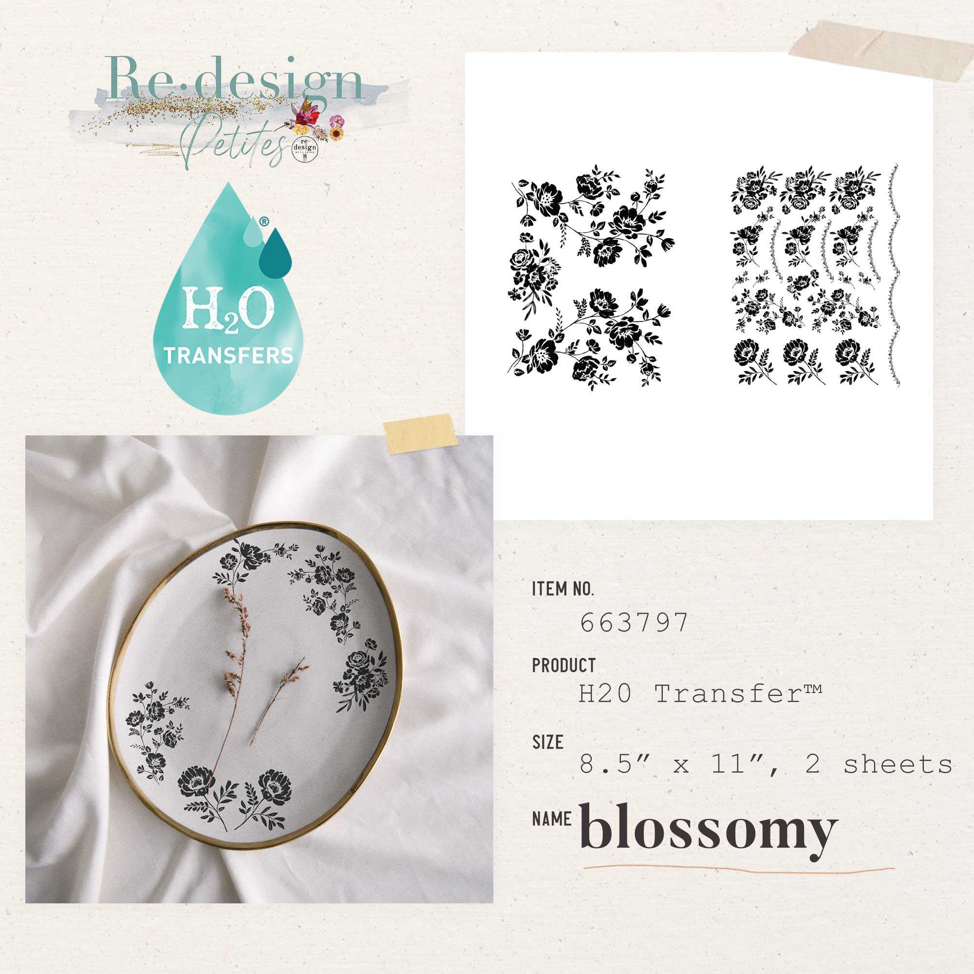 Re-design H2o Transfer - Blossomy