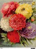 Decoupage Queen Rice Paper A4 - Calambour Henderson Six Gorgeous Poppies 1894