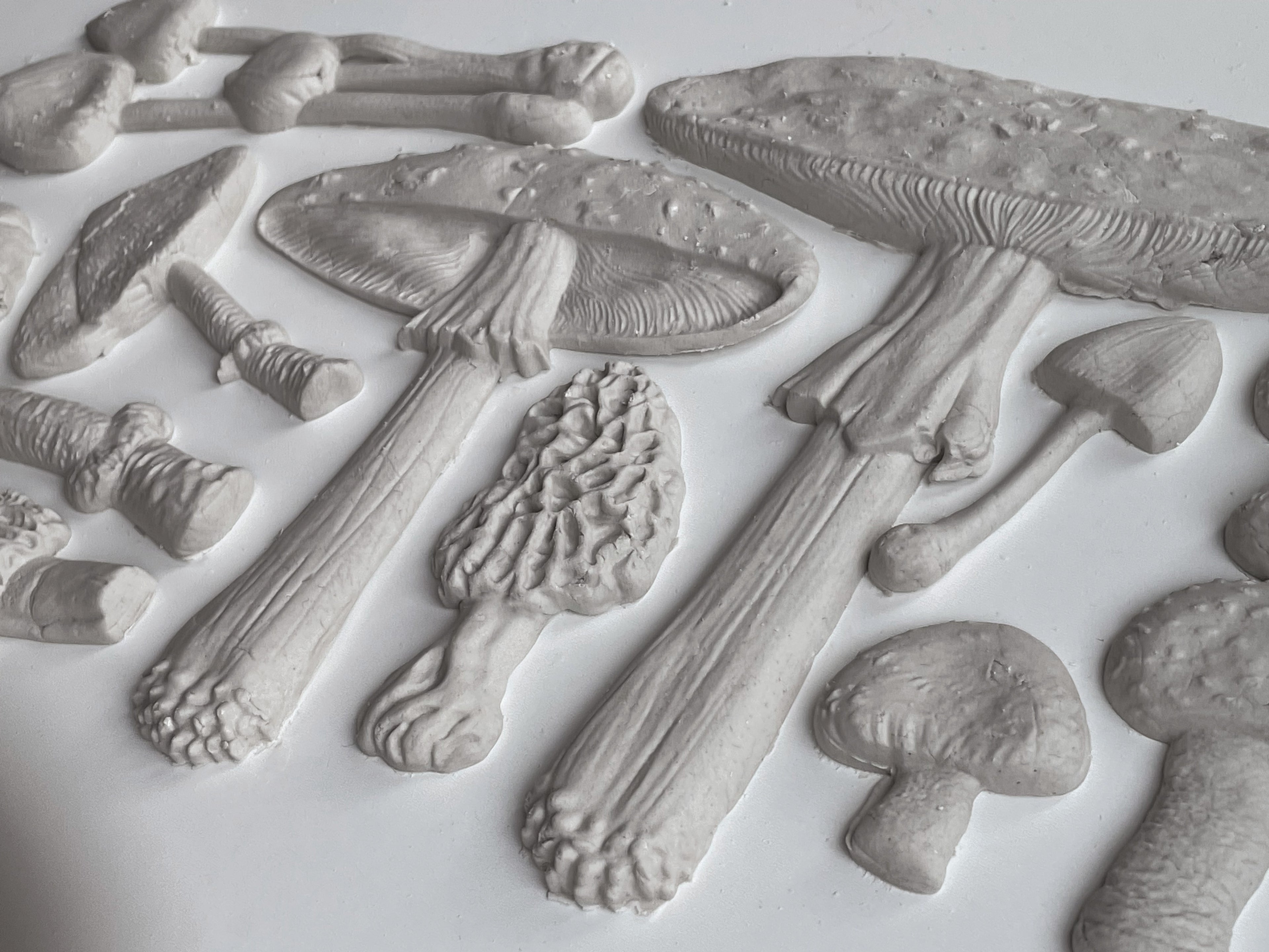 IOD Mould - Toadstool