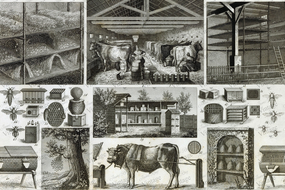 JRV Decoupage Paper - Bees and Barn