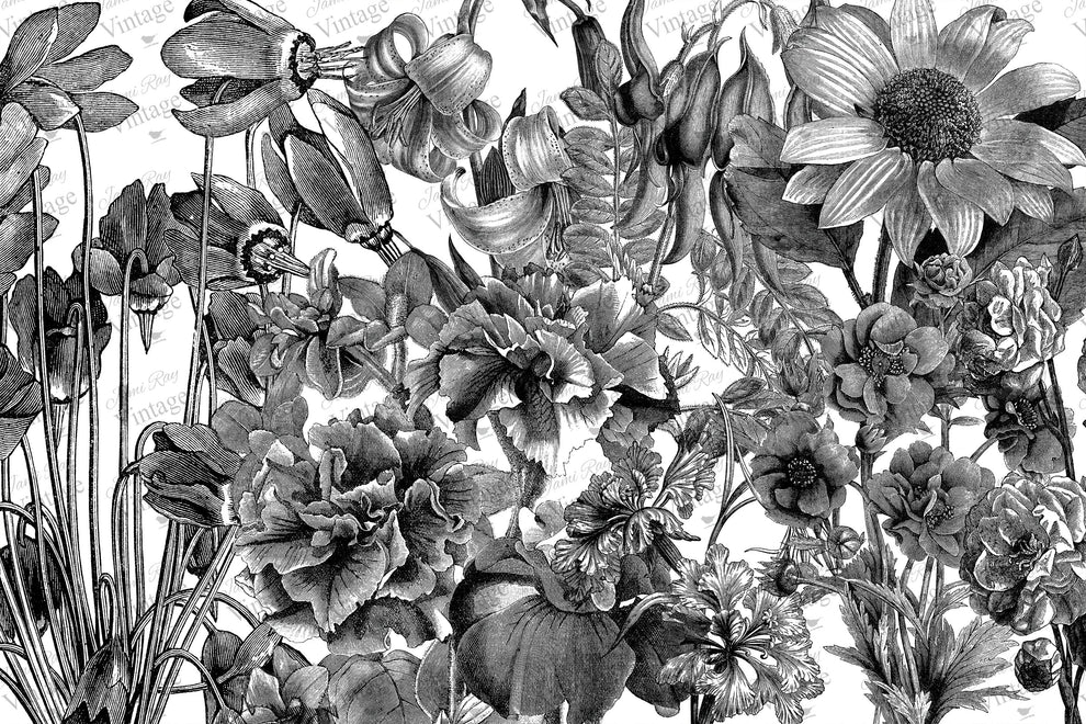 JRV Decoupage Paper - Black and White Floral