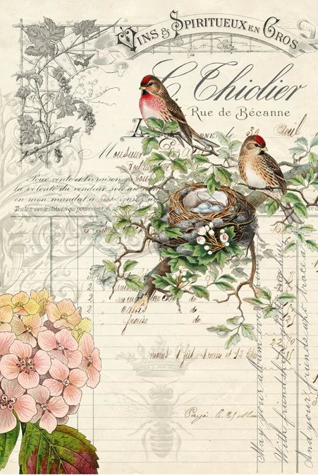 Roycycled Decoupage Paper - Bird Ephemera