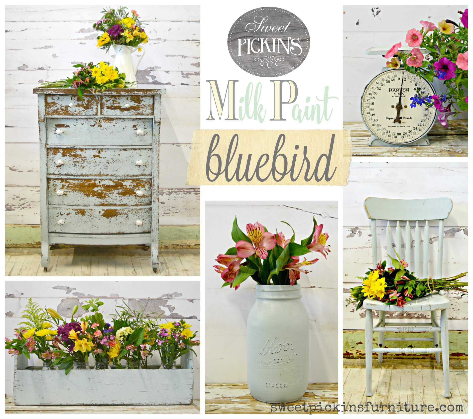 Sweet Pickins Milk Paint - Bluebird