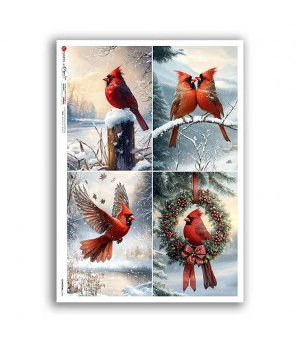 Decoupage Queen Rice Paper A4 - Cardinal Four Pack