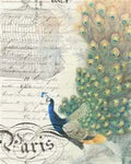Roycycled Decoupage Paper - Peacock Ephemera (Right) (Retired)