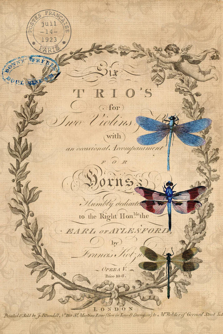 Roycycled Decoupage Paper - Dragonflies