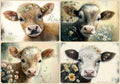 Reba Rose Creations - Baby Calves