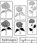 JRV Stencil by Mara - Heavenly Hydrangeas
