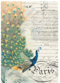 Roycycled Decoupage Paper - Peacock Ephemera (Left) (Retired)