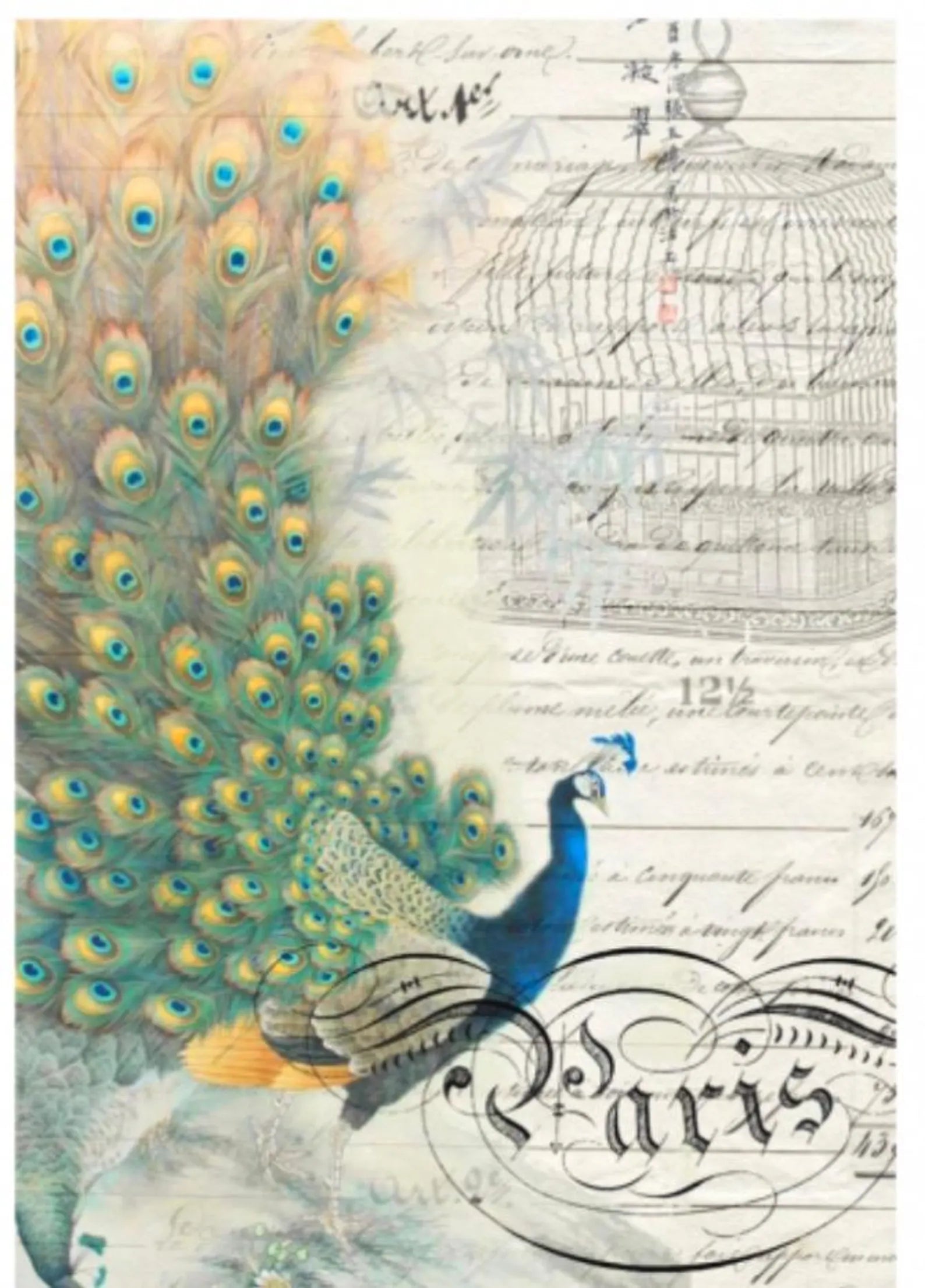 Roycycled Decoupage Paper - Peacock Ephemera (Left) (Retired)