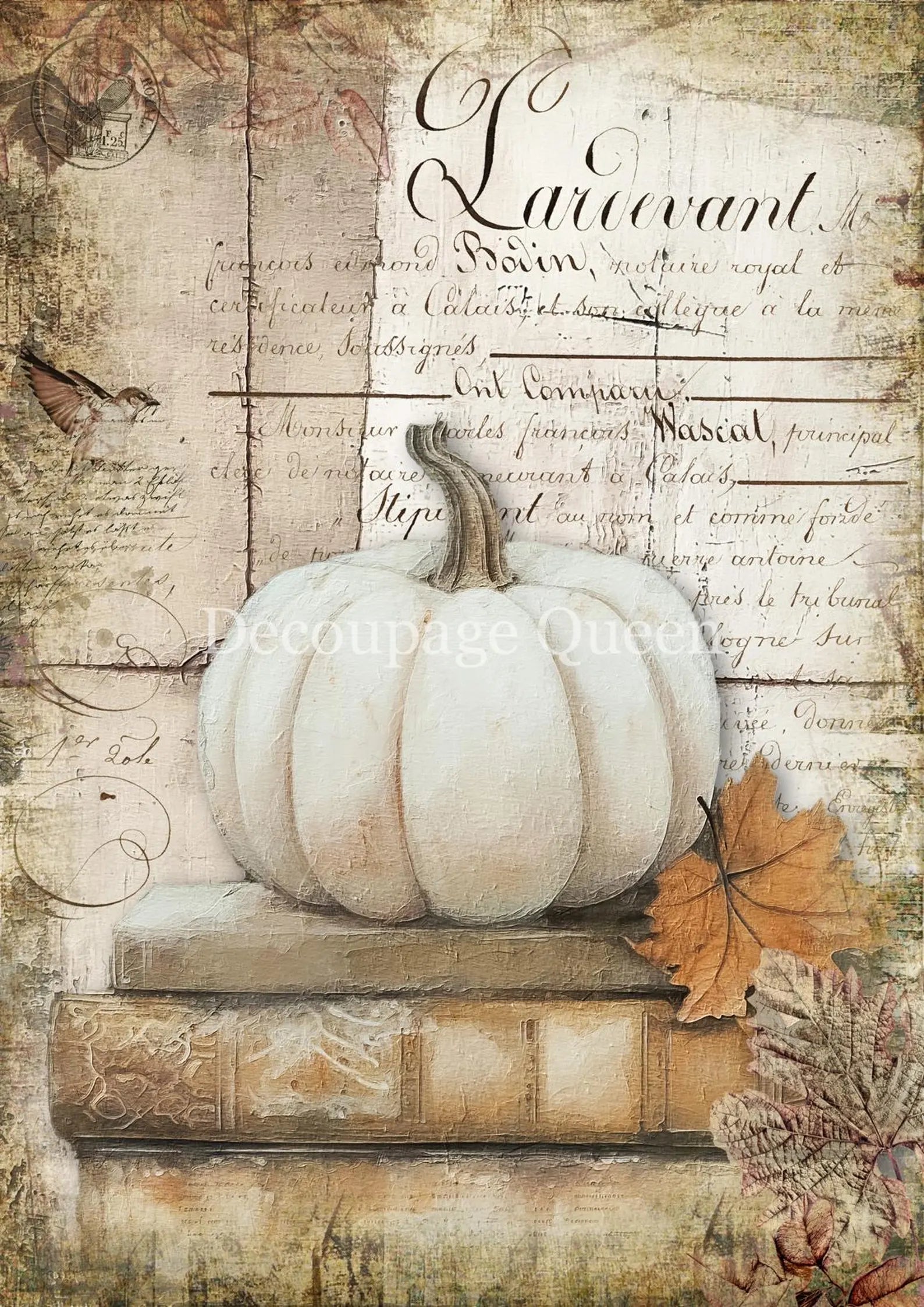 Decoupage Queen Rice Paper A4 - Cottage Pumpkin 1