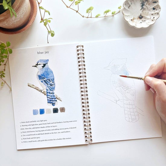 Emily Lex - Birds Watercolor Workbook