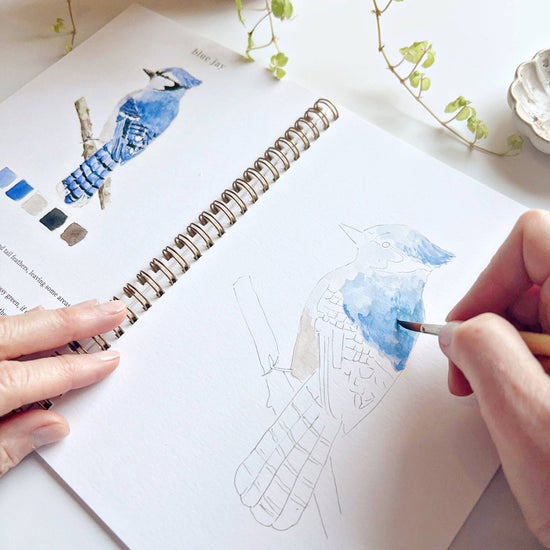 Emily Lex - Birds Watercolor Workbook