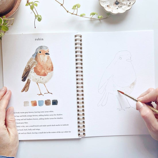 Emily Lex - Birds Watercolor Workbook